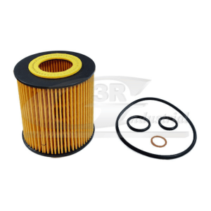 3RG: 98100 | FILTRO ACEITE